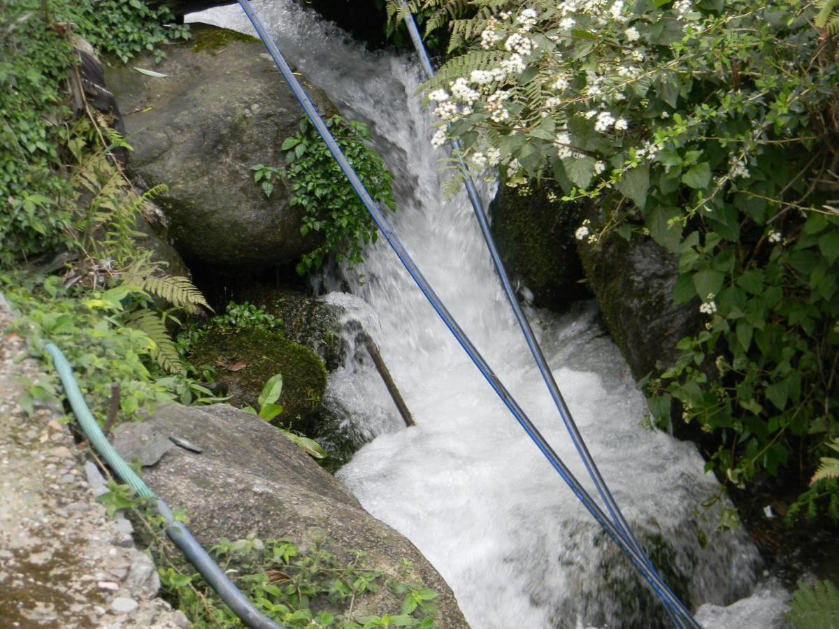 Hillock By In Vogue Vila Dharamshala Exterior foto